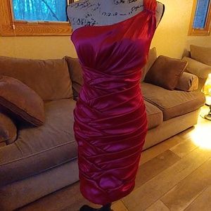 Bisou Bisou bodycon red dress 6